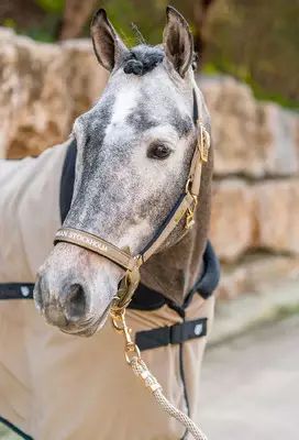 /images/2883-Sportive-Chantelle-riimu-ja-naru-Full-Equestrian-Stockholm-1650434497-7340192818483-thumb.webp