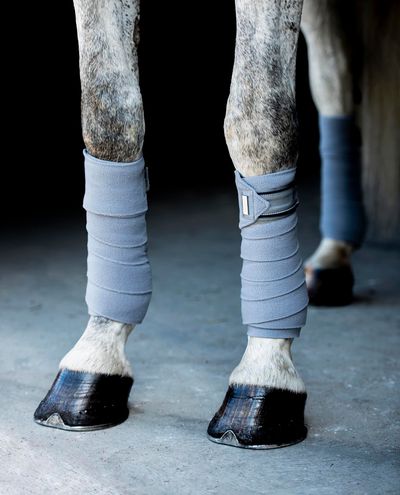 Crystal Grey Pintelit Equestrian Stockholm