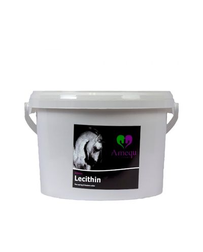 Lecithin (2.8kg) lesitiini