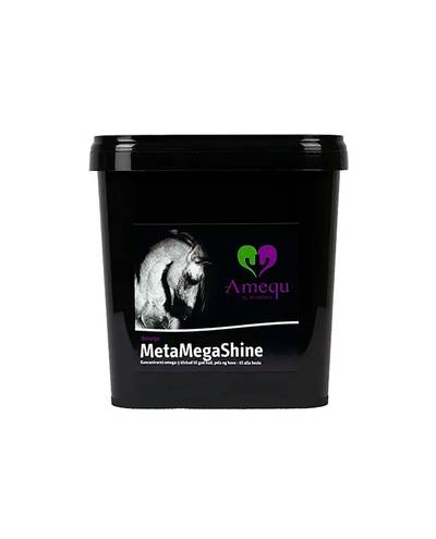 MetaMegaShine (3kg) Amequ