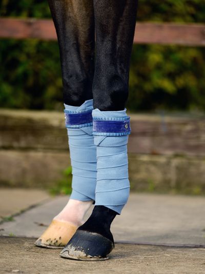 Light Blue Pintelit Ruffle PS of Sweden