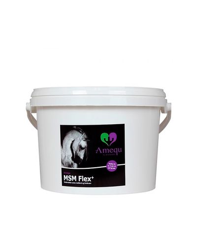 MSM Flex (5kg päiväystuote)