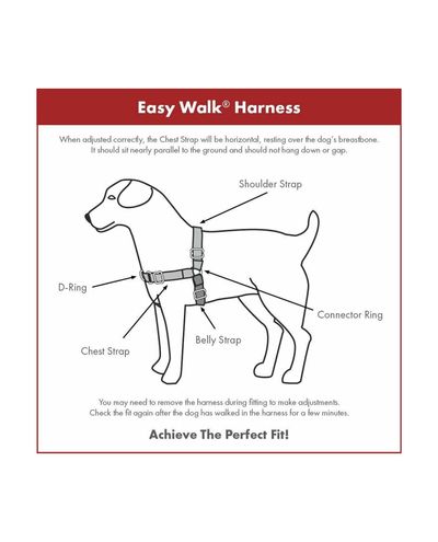 Easy Walk-valjaat+hihna (punainen) PetSafe