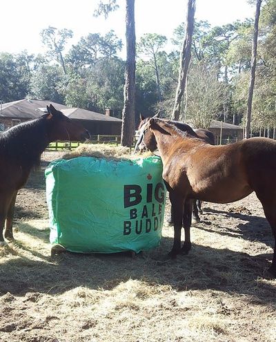 Big Bale Buddy (Small) pyöröpaaliin