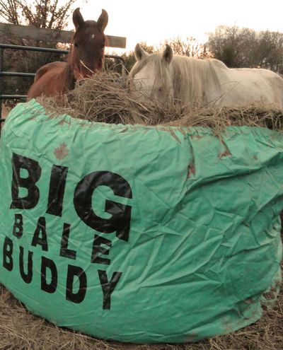Big Bale Buddy (Large) pyöröpaaliin