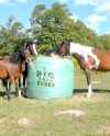 Big Bale Buddy (Extra Large) pyöröpaaliin