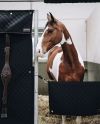 Stable Guard Black Kentucky