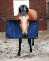 Stable Guard Navy Kentucky