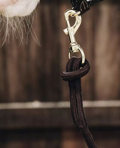 Riimunnaru Loop ruskea (2m)Kentucky