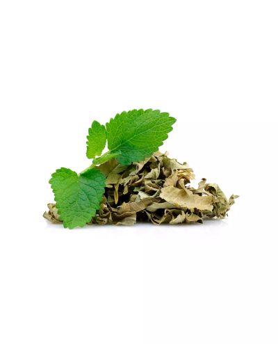 Sitruunamelissa (50g näyte)