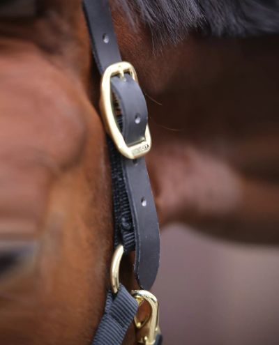 Kontrolliriimu Control Halter Kentucky 