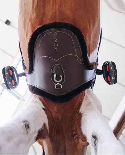 Satulavyö vatsapanssari ja karva (Ruskea) Sheepskin Stud Girth