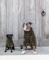 Teddy Fleece paita Pine Green (L)