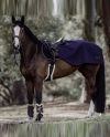 Ratsastusloimi 160g Riding Rug Navy