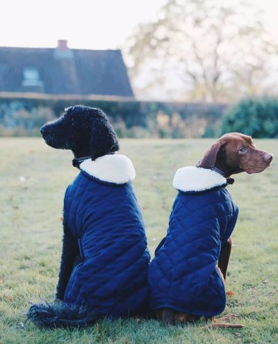 Koirantakki Dog Coat original Navy 