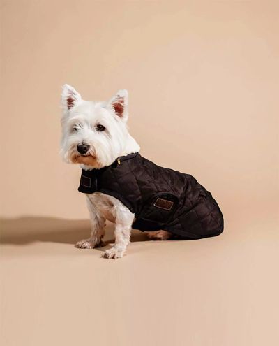 Koirantakki Dog Coat original Brown