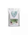 Mehikissus Cissus Quandrangulari (1.5kg RF)
