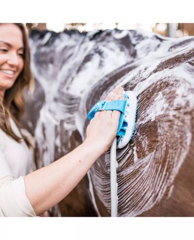 Aquapaw Equine Grooming Tool -Hevospesuri