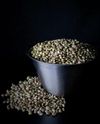 Hampunsiemen (1.5kg)