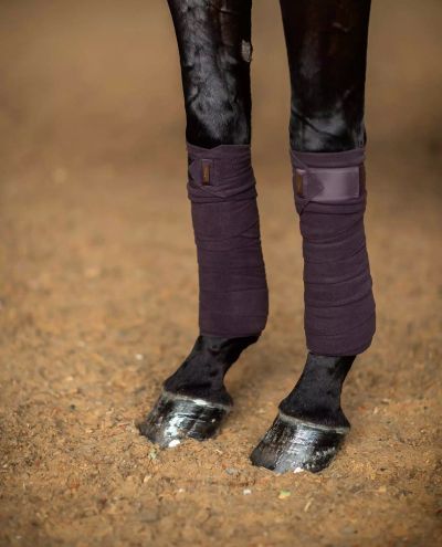 Moonless Night Pintelit Equestrian Stockholm
