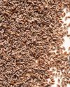 Psyllium siemen (2kg)