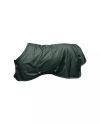 Turnout Rug All Weather Waterproof Pro 160g Vihreä