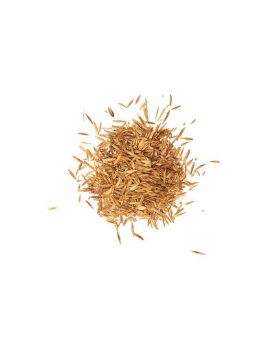 Kylvösiemenet Pre Alpin Saatgut (10kg) Agrobs