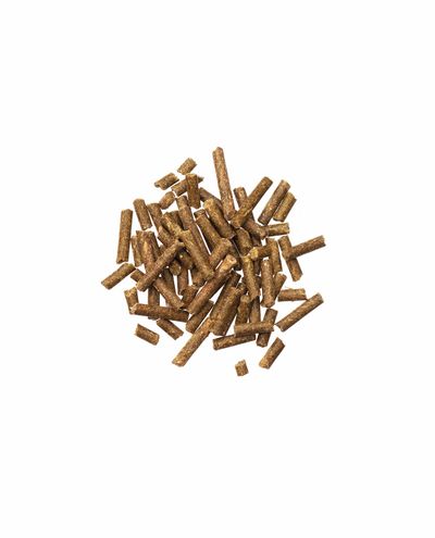 Oluthiivapelletti Bierhefe (3kg RF) Agrobs