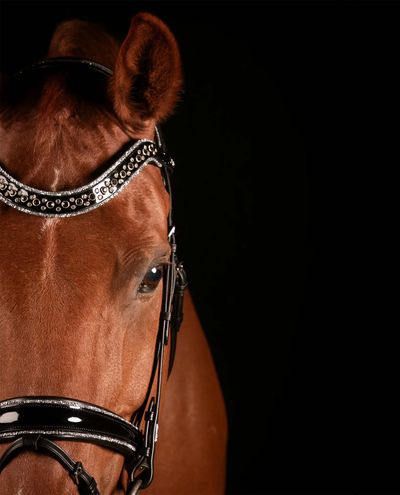 Johnny Silver Suitset Trens Mrs. Ros