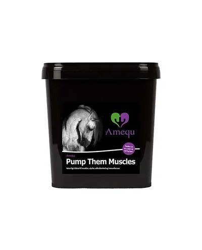 Pump Them Muscles (3kg) Amequ