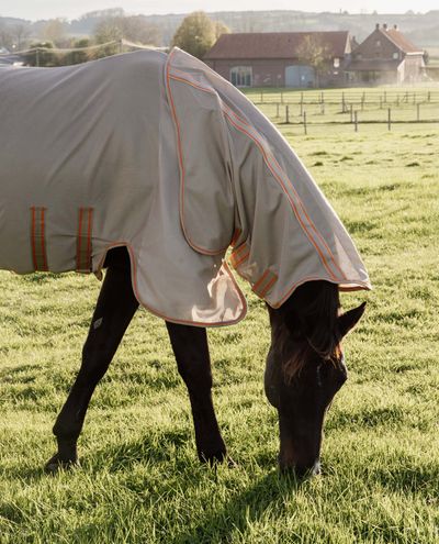 Kärpäsloimi mesh fly rug comfort beige/orange