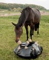 Play & Haybag Slow Feeder Round XL