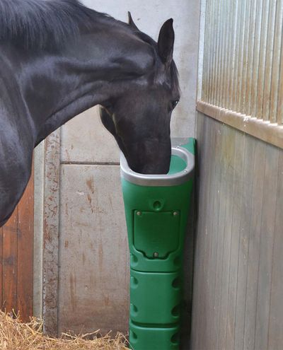 Lämmitettävä vesikuppi uimurilla Normandy