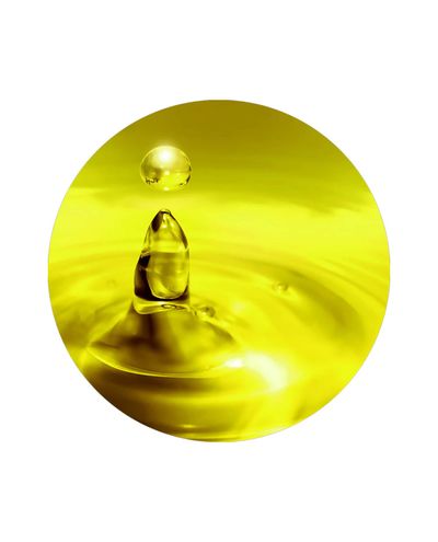 Nordic DHA Algae Öljy (1L)