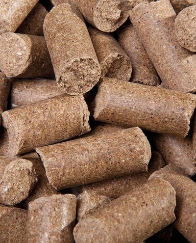 Lecker Bricks Karotte (25kg) Eggersmann Lecker Bricks Karotte (25kg) Eggersmann