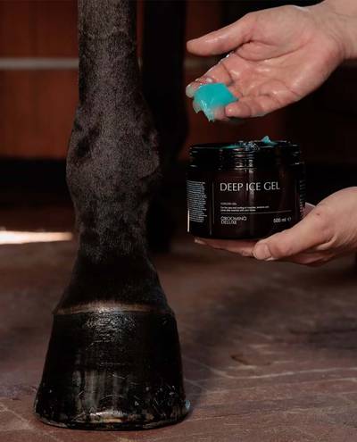 Deep Ice Gel (500ml) Kentucky Deep Ice Gel (500ml) Kentucky