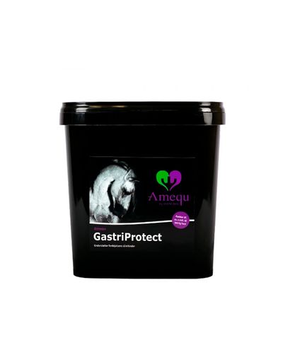 GastriProtect (3kg) mahansuojaksi Amequ