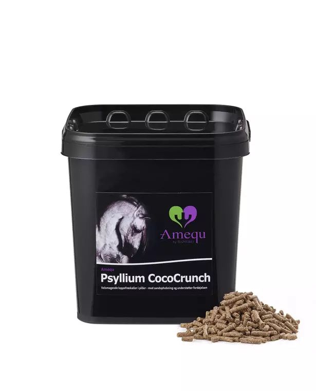 Psyllium CocoCrunch (3dl näyte)