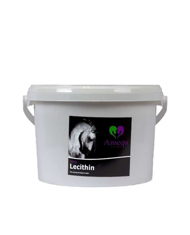 Lecithin (3kg) lesitiini
