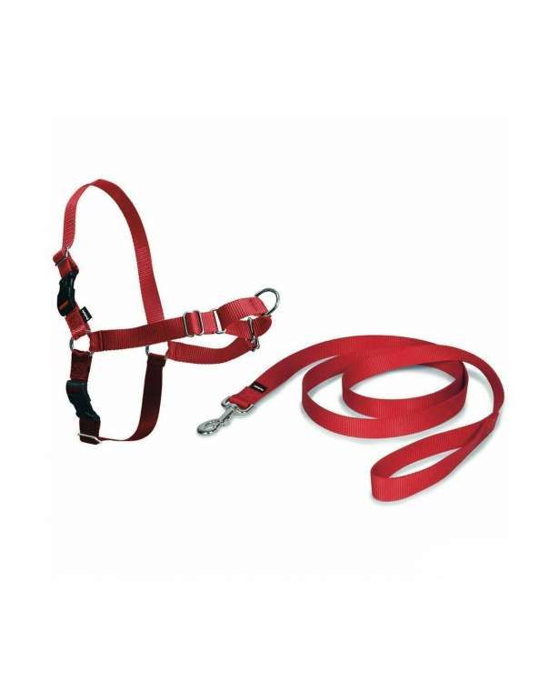 Easy Walk-valjaat (punainen) PetSafe