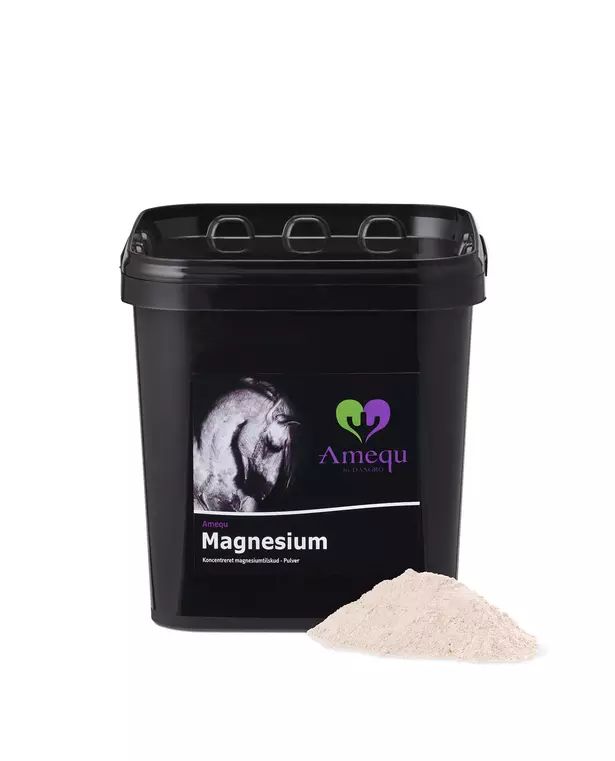 Magnesium Amequ 3kg