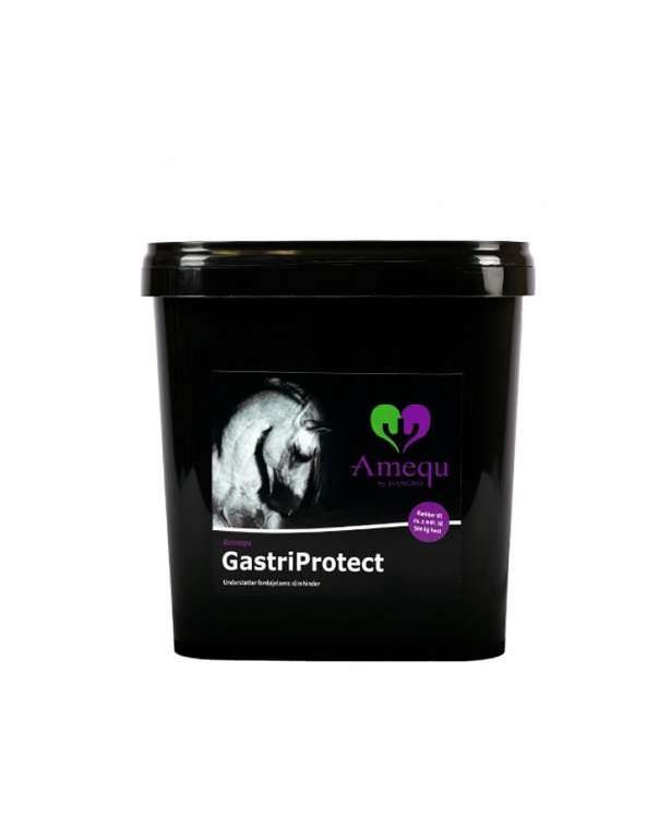 GastriProtect (3kg) mahansuojaksi